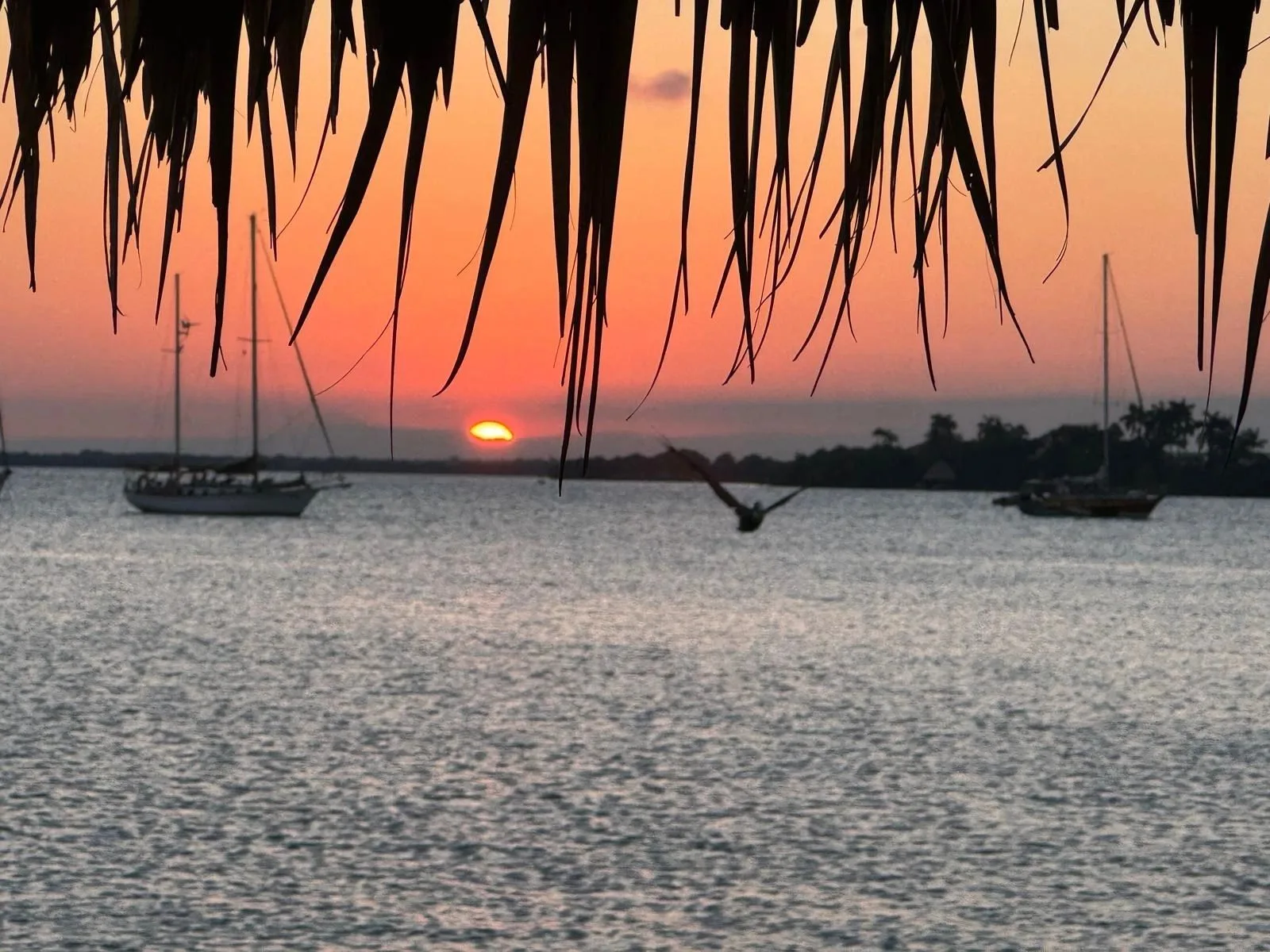 Sailboats at anchor beneath a warm tropical sunset